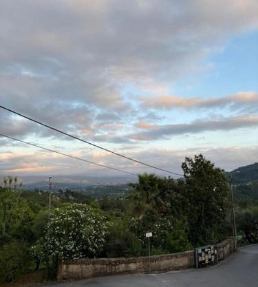 Casa das Oliveiras