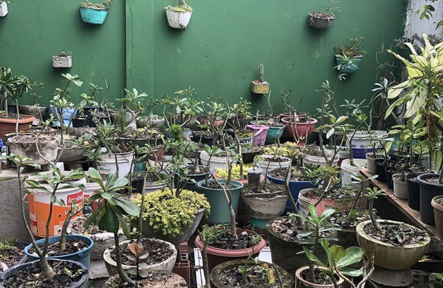 Casa de Temporada em Maragogi-al a 250m da Praia
