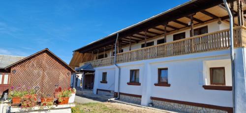 Casa de vacanta Musatesti