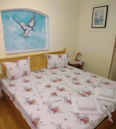 Casa de vacanta Puiu