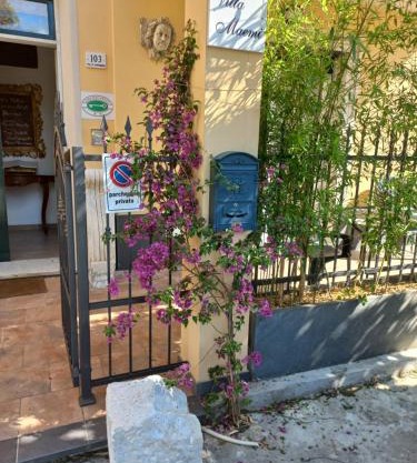 casa degli artisti 2