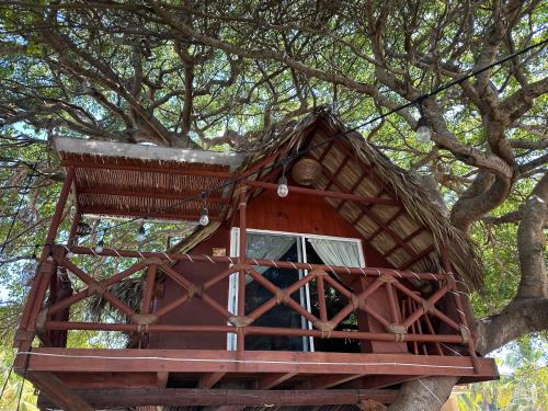 Casa del Árbol Barra la Saladita