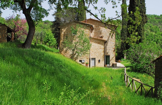 Casa del Camino - Nestling among tall cypresses, ancient oaks and… silence