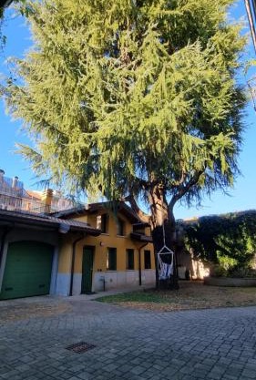 Casa del Cedro - Comfort e relax