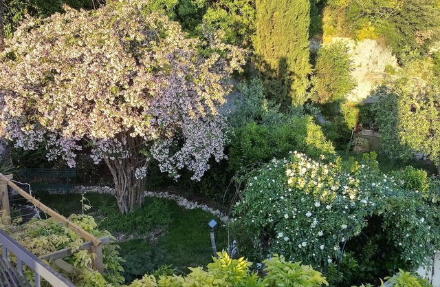 Casa del glicine
