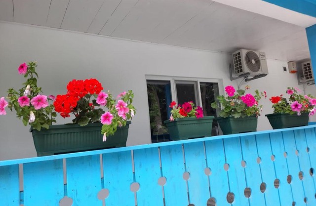 Casa Dobrogea