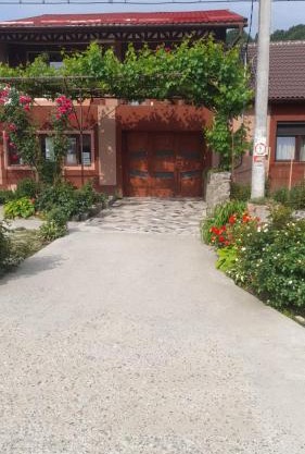 Casa Elena Eselnita
