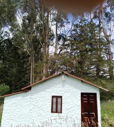 Casa Enverdes