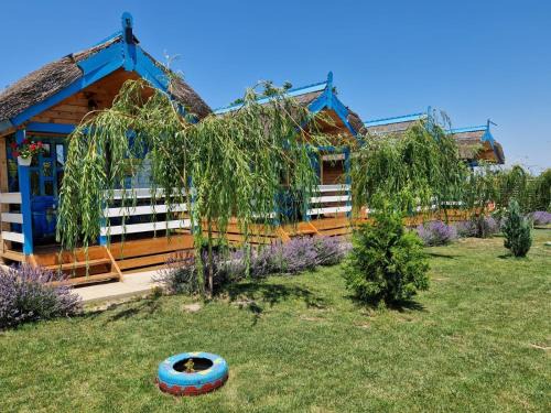 Casa Flavia