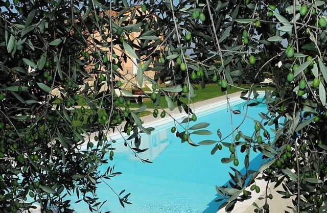 Casa Flora B: A characteristic and welcoming apartment that is part of a villa surrounded by the greenery, with Free WI-FI.