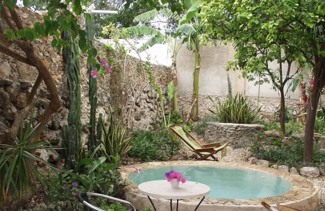 Casa Flora, Peaceful Oasis in el Centro