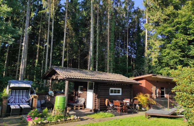 Casa Foresta - minimalistisches 1-Raum Tiny House direkt am Wald