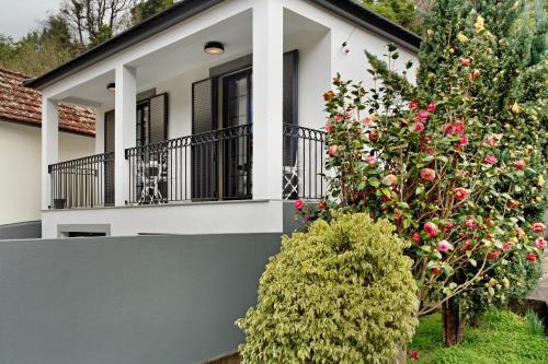 Casa Francisco