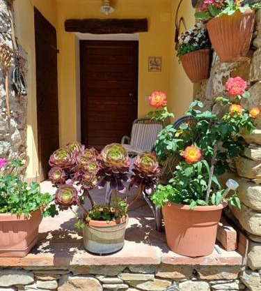 Casa Galla