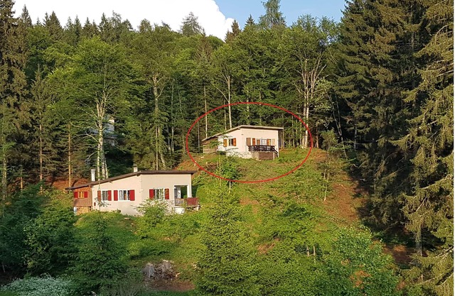 Casa Giovanazzi - Holiday home near the Passo Mendola