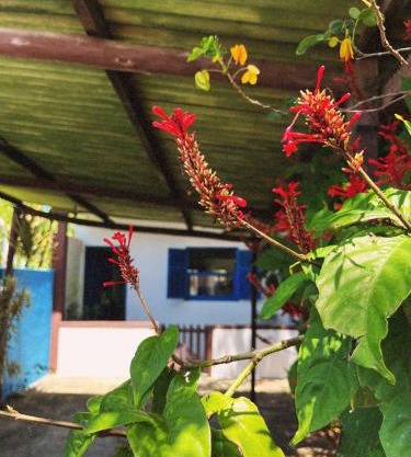 Casa Inaê