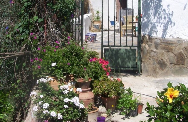 Casa Jacaranda Las Canteras