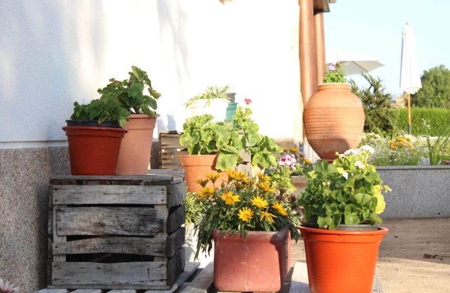 Casa La Caridad Rural Tourism