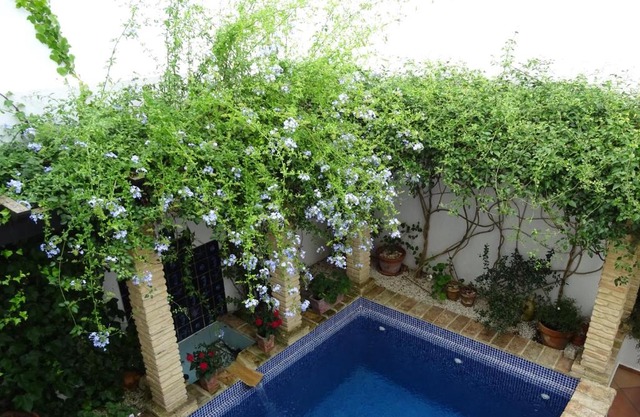 Casa la Loba