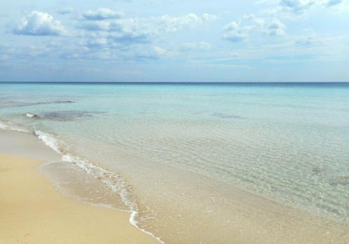Casa Lido degli Angeli a 120m dal mare