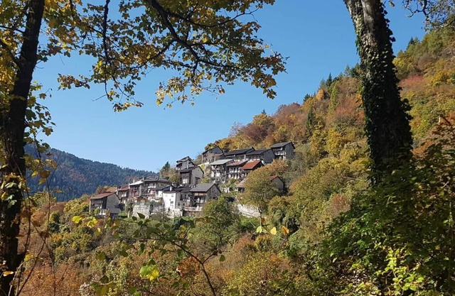 Casa Lina is located in the Chiappini district near the hamlet of Arina