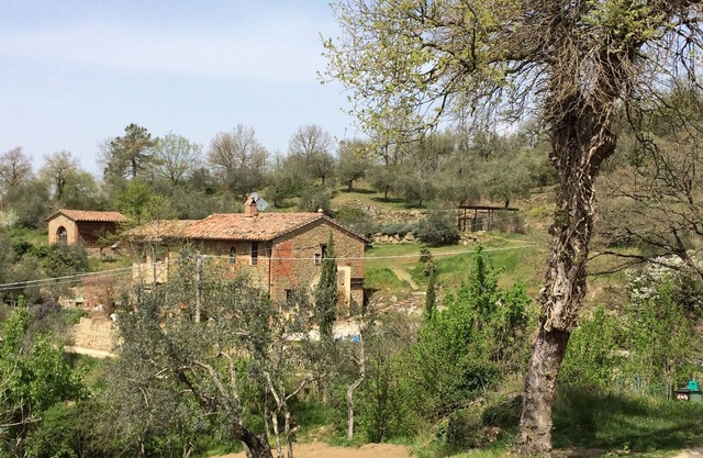 CASA LORENZO ~ LIMONE. Stunning, peaceful family farmhouse apt with pool & views