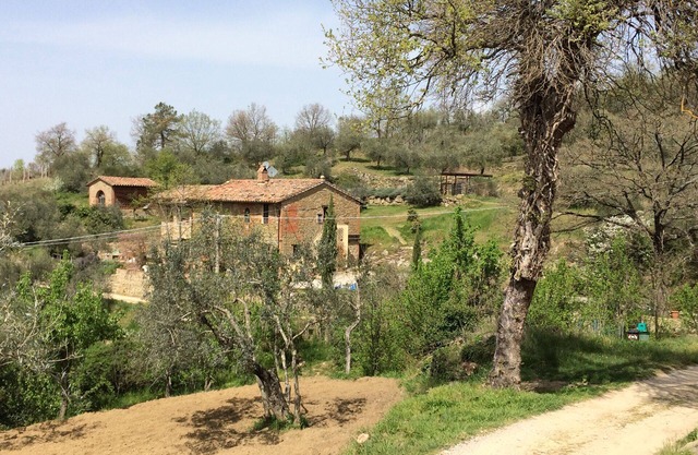 CASA LORENZO ~ WHOLE FARMHOUSE with stunning large Roman pool set in olive grove