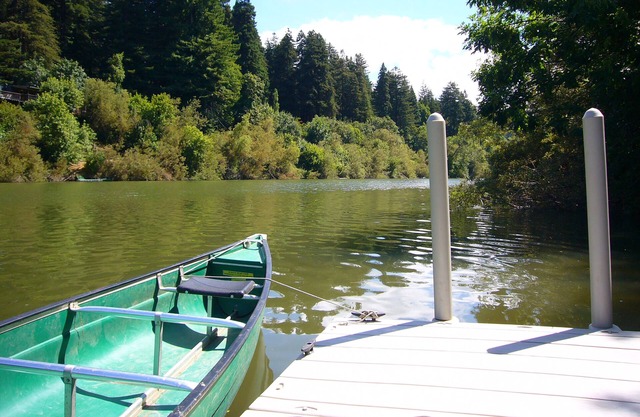 Casa Luna ~ Charming Vintage Cabin Retreat on the River, Spa, Dog Friendly!
