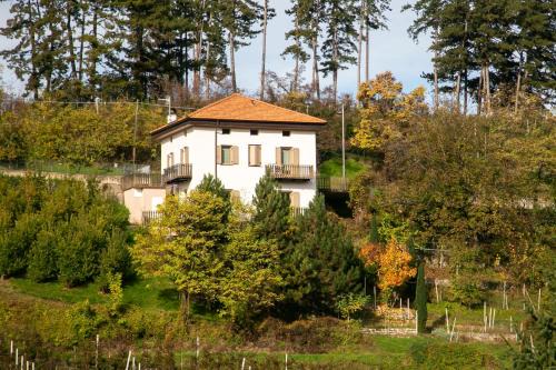 Casa Maia