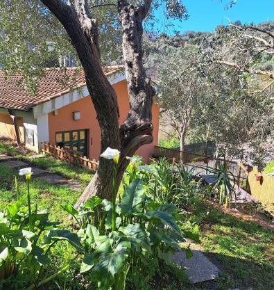 Casa Mar'Cellina - Tenuta Calano