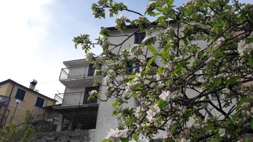 Casa Merei
