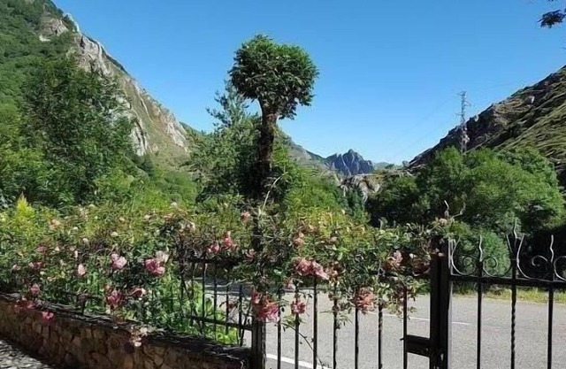 Casa Modesta Apartments for 4 people
