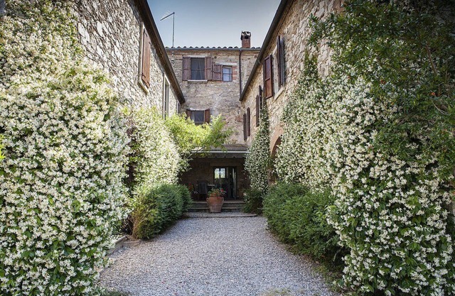 Casa Monia C: A characteristic apartment surrounded by the greenery.