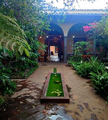 Casa Morfo Cultura