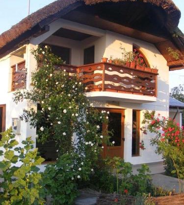 Casa Nicu Murighiol