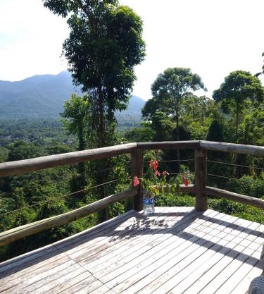 Casa no morro do Itamambuca com vista incrível