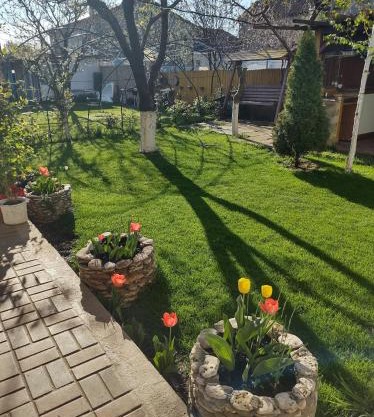 casa Olga 2 Mai
