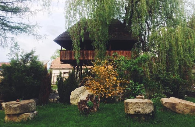 Casa Ott