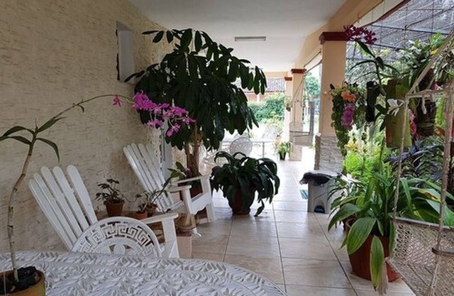 Casa Papo y Niulvys