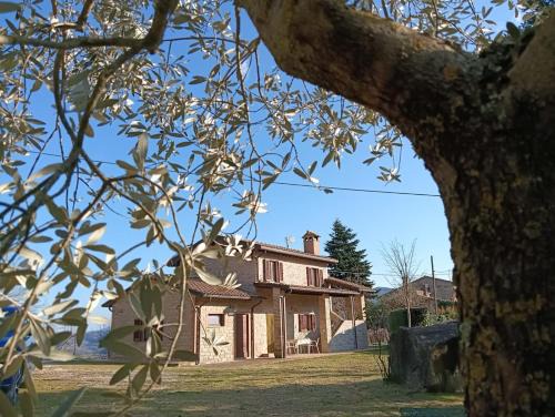Casa Paradiso - Assisi