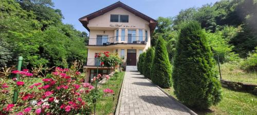Casa Patryk