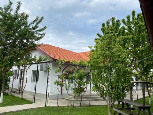 Casa Porumbelul Vama Veche
