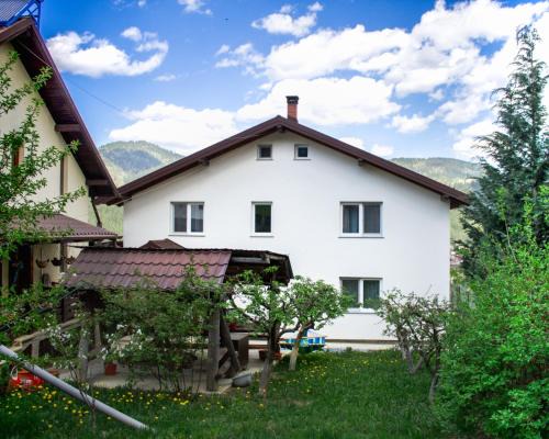 Casa Puiu