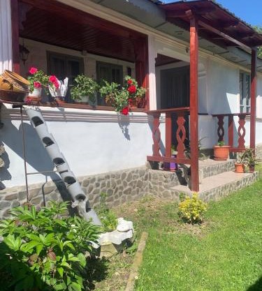 Casa Putna