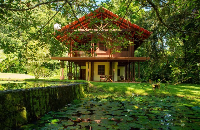 Casa Ranas, Osa, Gorgeous Home on Edge of Private 32acres of Forest, Easy Access