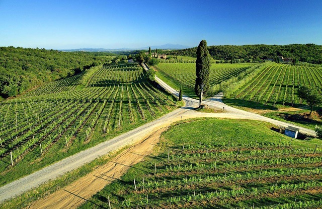 Casa Rossella - ArcenoRentalsClub Romantic flat in Chianti Wifi Concierge Pool