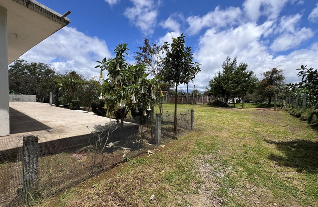 Casa rodeada de naturaleza
