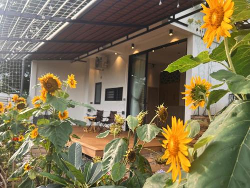 Casa Rosa Homestay