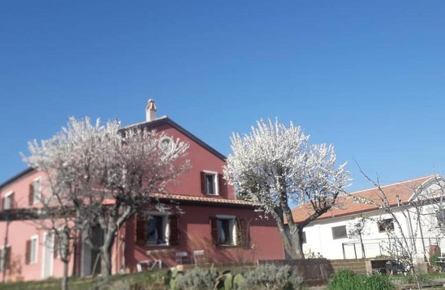 Casa Rosa