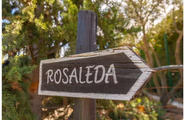 Casa Rosaleda...What a wonderful place!